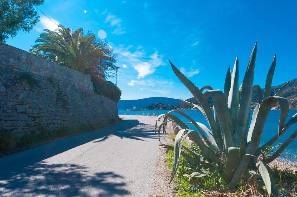 Apartmani Vesna Tivat Buitenkant foto